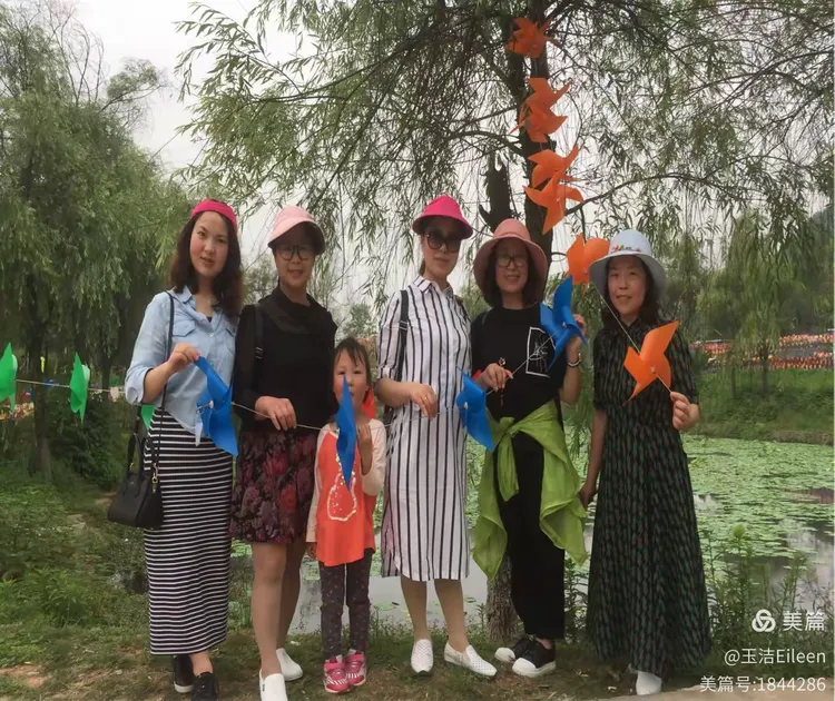 三五一群来不尽 品茗偿饼不知眠打一生肖全面释义、详细解答解释落实