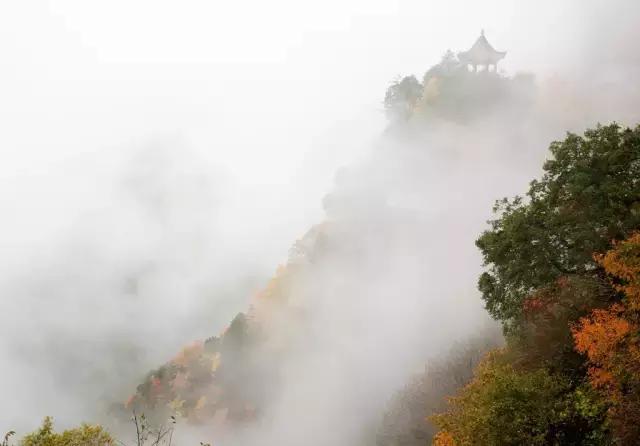 三五结合秋意浓是什么生肖的警惕虚假宣传-全面释义、科学解答解释落实