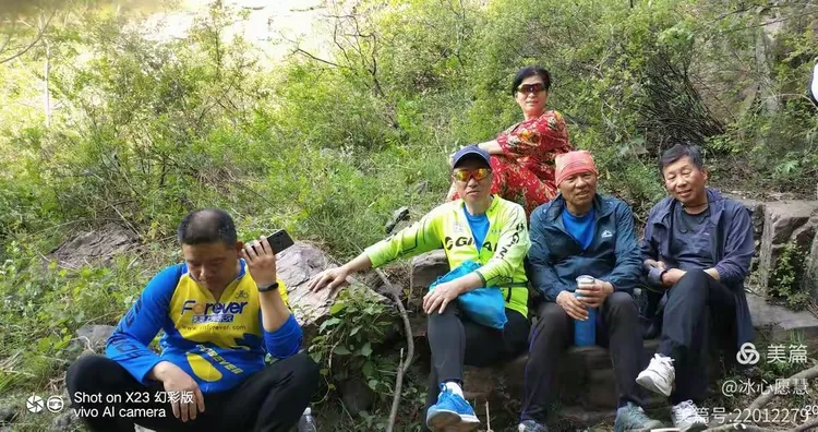 三五一群来不尽 品茗偿饼不知眠打一生肖全面释义、详细解答解释落实